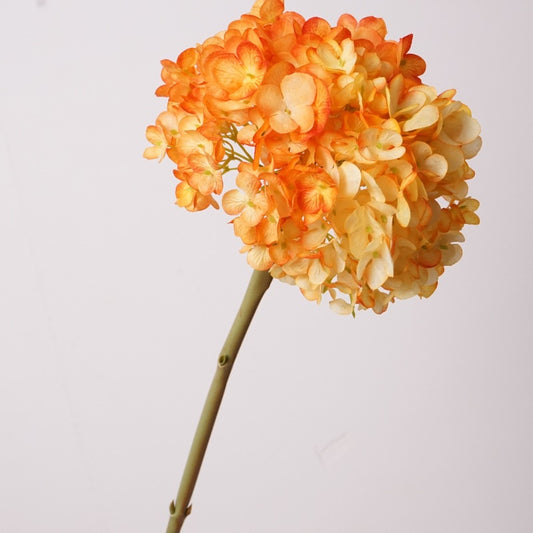28cm Wide Hydrangea Flower Head | Artificial Silk Stem | Orange 25" H