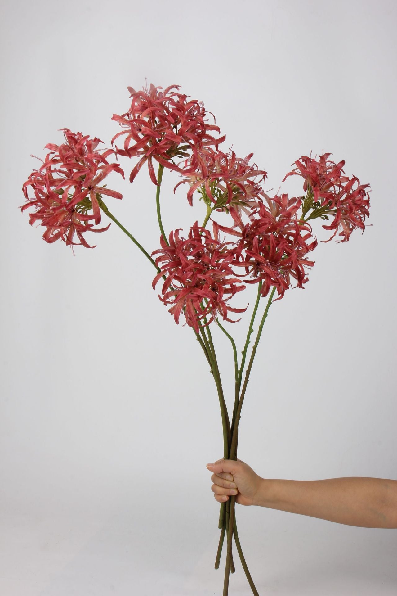 Artificial Agapanthus Stem | Premium Silk Real Touch Flower | 78cm Tall Red