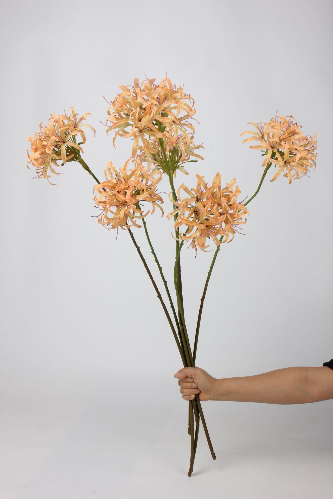 Artificial Agapanthus Stem | Premium Silk Real Touch Flower | 78cm Tall Orange