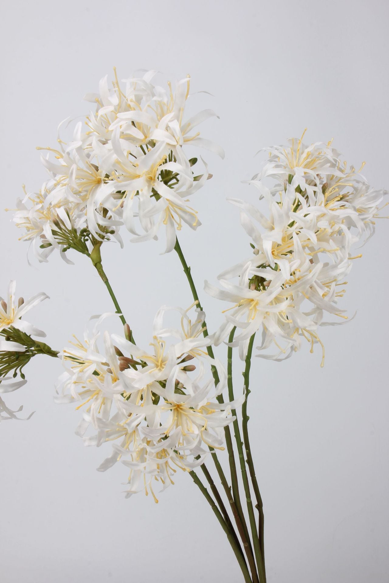 Artificial Agapanthus Stem | Premium Silk Real Touch Flower | 78cm Tall White