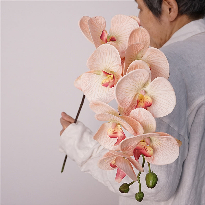 Artificial European-Style Phalaenopsis Orchids | 87cm Realistic 7-Head Hydrating Touch Orchid Stem | Champagne Pink