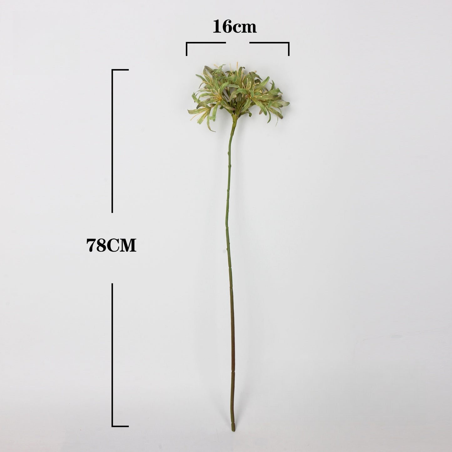 Artificial Agapanthus Stem | Premium Silk Real Touch Flower | 78cm Tall Green