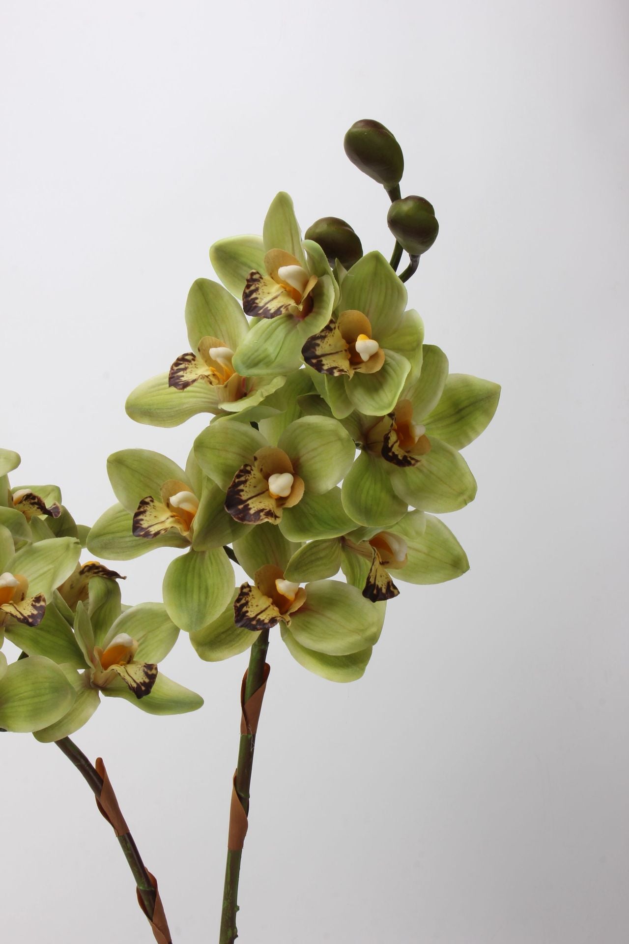 Artificial Cymbidium|8 Blooms Realistic Soft-Touch Petals Green 13.1"
