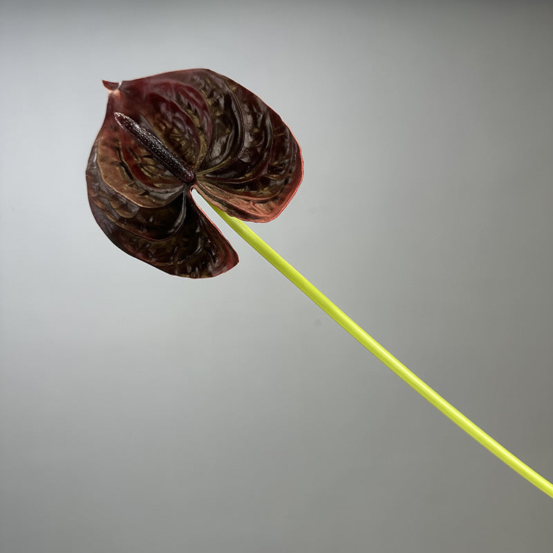 Artificial Anthurium Flower | 3D-Touch PU Architectural Foliage | 66cm H Classic Burgundy
