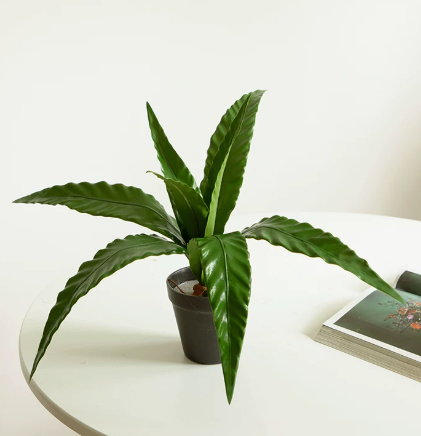 Artificial bird's nest fern small 50cm faux asplenium nidus potted plant botanical decor