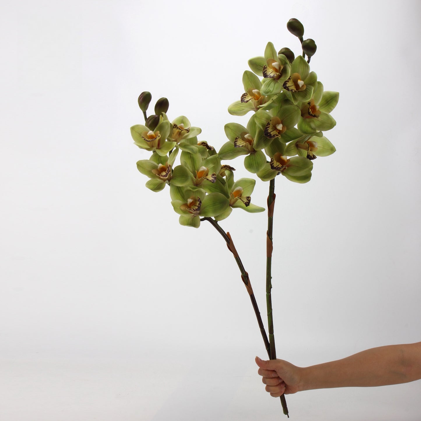 Artificial Cymbidium｜8 Blooms Realistic Soft-Touch Petals Green 13.1"