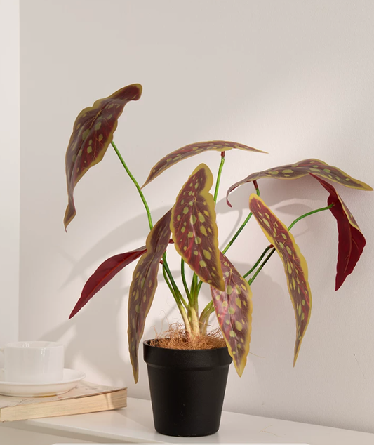 Artificial rex begonia plant pot deep red faux begonia cathayana 40cm dramatic decor