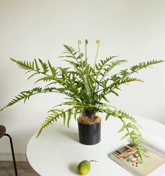 Artificial fiddlehead fern plant pot faux woodland fern 63cm curled fronds rare botanical decor