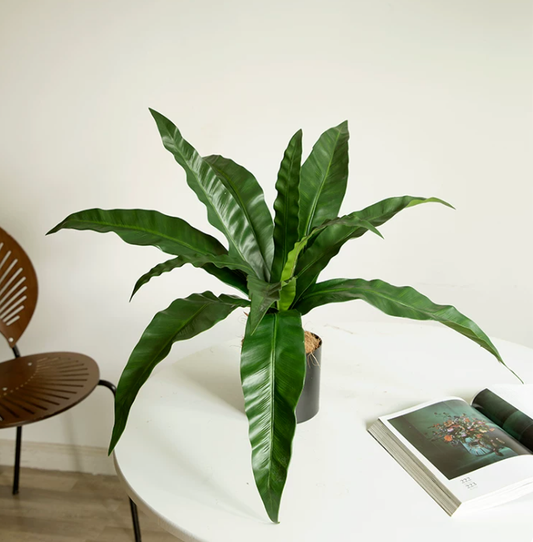 Artificial bird's nest fern large 70cm faux asplenium nidus potted statement plant