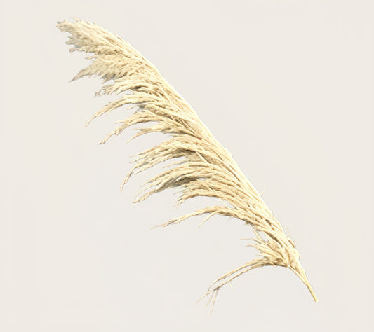 Artificial Pampas Reed Stem | Natural-Toned 120cm H | 3 Stems