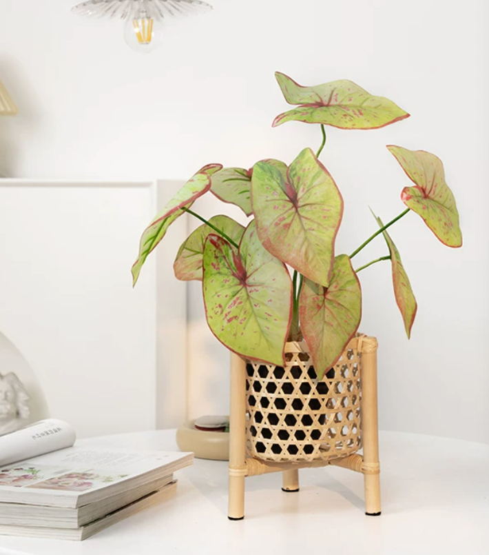 Faux rose edge caladium potted plant shelf cottage romantic interior decor