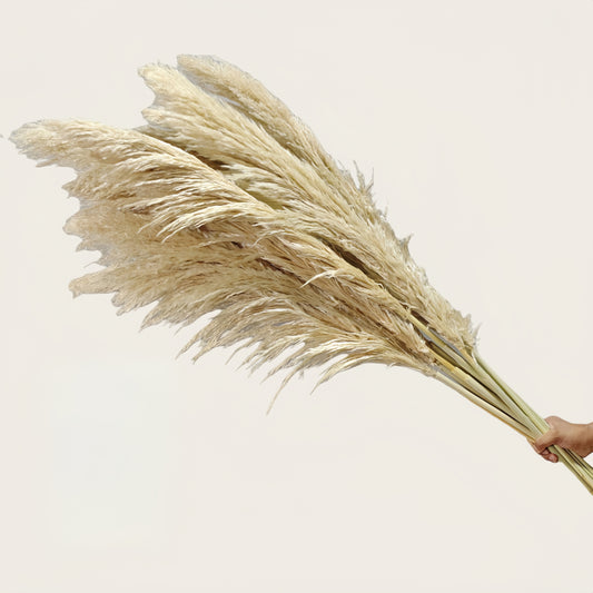 Artificial Pampas Reed Stem | Natural-Toned 120cm H | 3 Stems