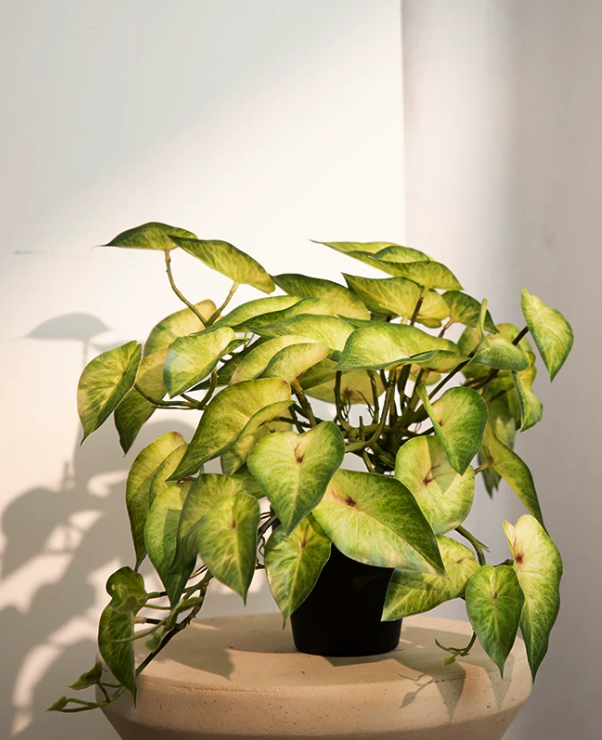 Artificial caladium plant pot deep red faux taro leaf 40cm dramatic decor