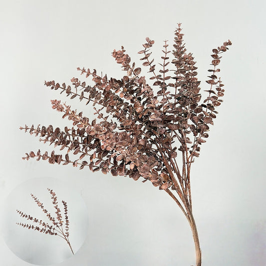 Artificial Dark Brown Dried Eucalyptus Stems | 85cm H with 5 Spurs | Single Stem