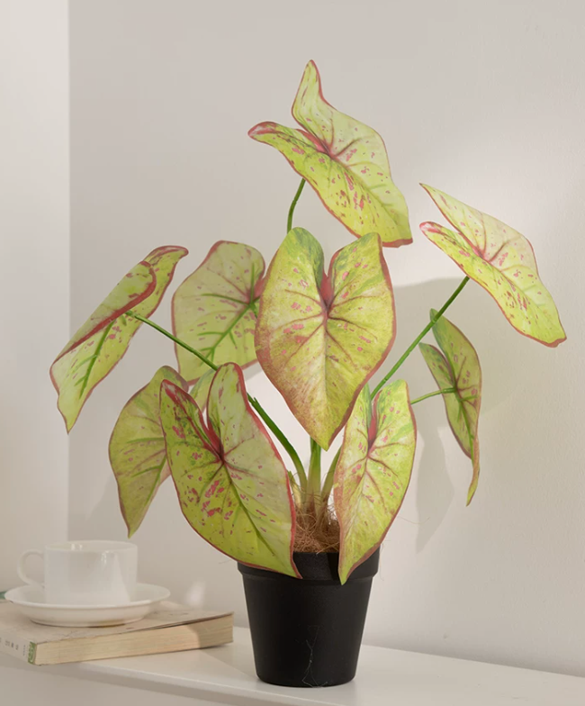 Artificial Caladium Plant Pot | Faux Taro Leaf Potted Plant 40cm | 7 Styles | Tropical & Japandi Decor
