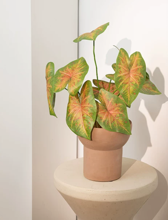 Faux multicolor caladium potted plant tropical maximalist interior styling