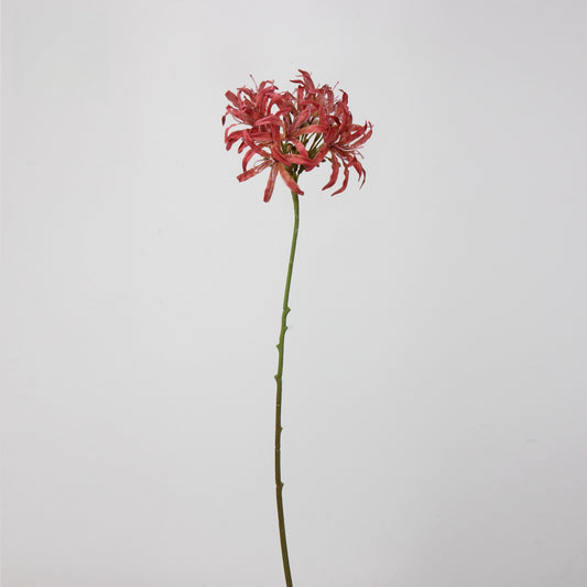 Artificial Agapanthus Stem | Premium Silk Real Touch Flower | 78cm Tall Red