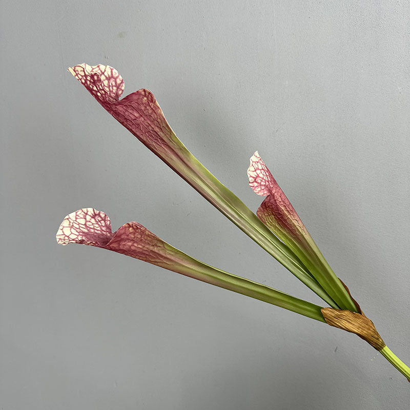 Artificial wine red pitcher plant stem 3 pitcher faux sarracenia 51cm dramatic decor