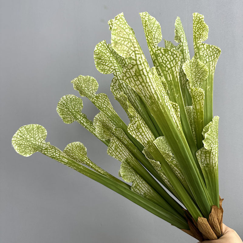 Artificial pitcher plant bundle 5 faux sarracenia stems ivory green 44cm botanical decor