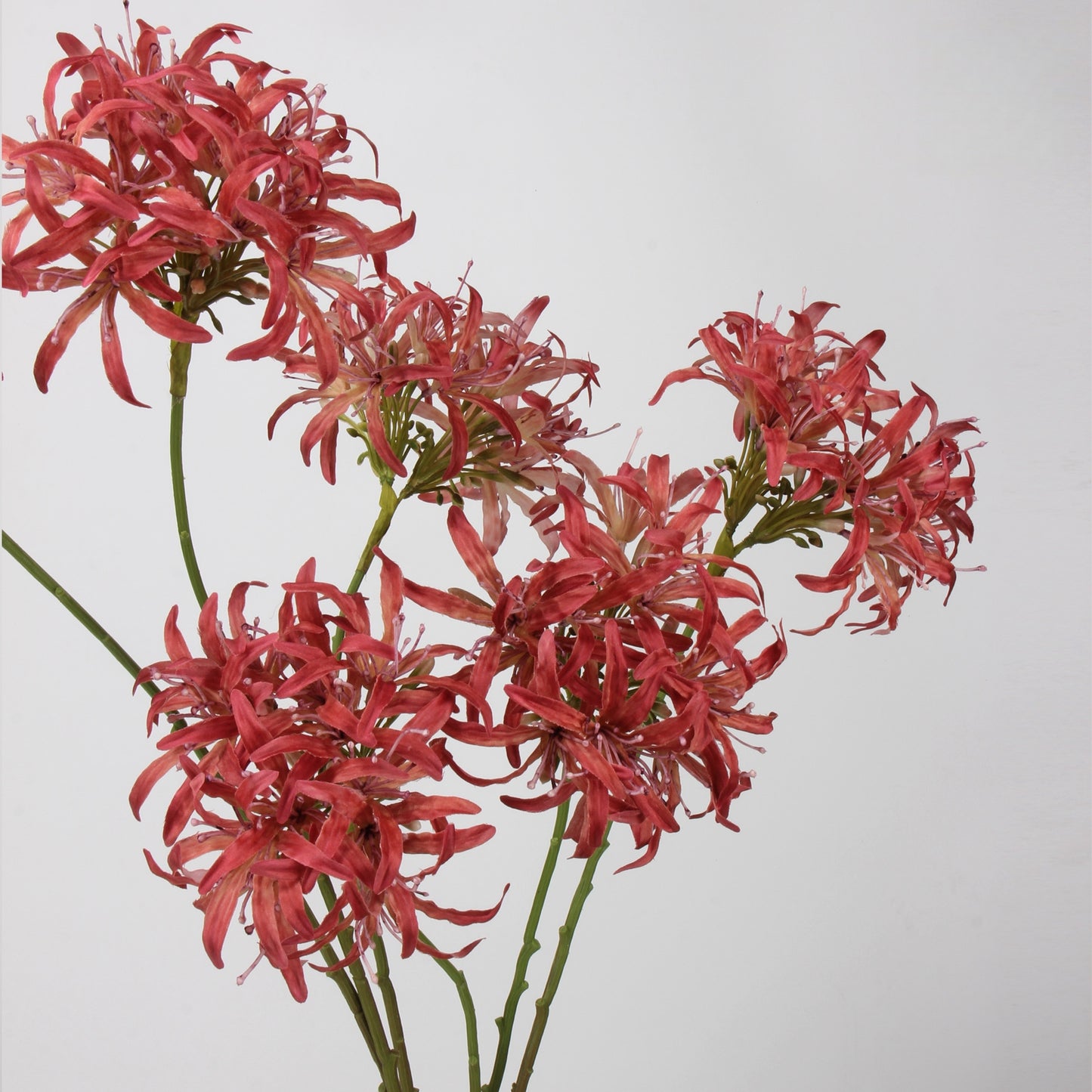 Artificial Agapanthus Stem | Premium Silk Real Touch Flower | 78cm Tall Red