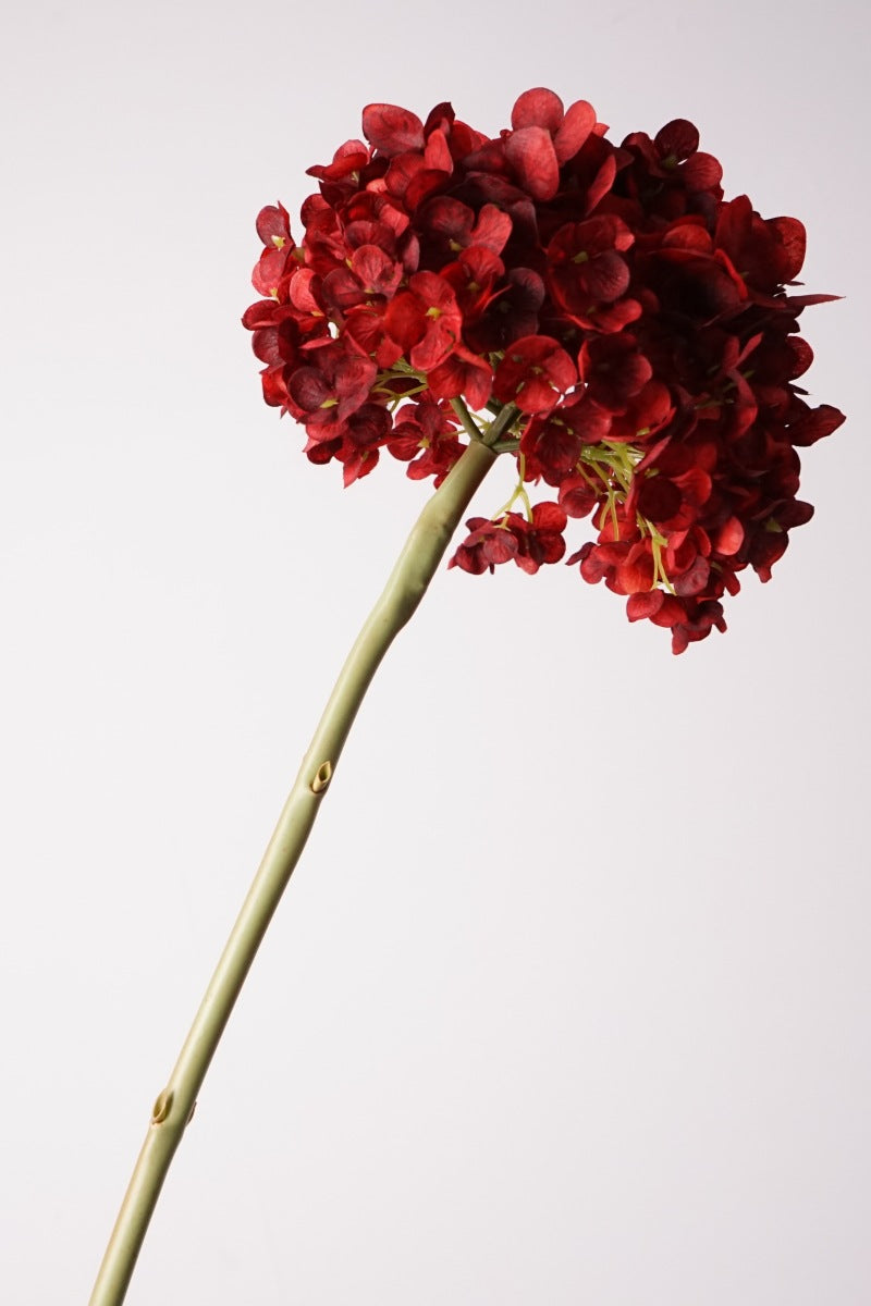 28cm Wide Hydrangea Flower Head | Artificial Silk Stem | Red 25" H