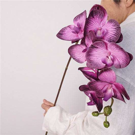 Artificial European-Style Phalaenopsis Orchids | 87cm Realistic 7-Head Hydrating Touch Orchid Stem | Deep Purple