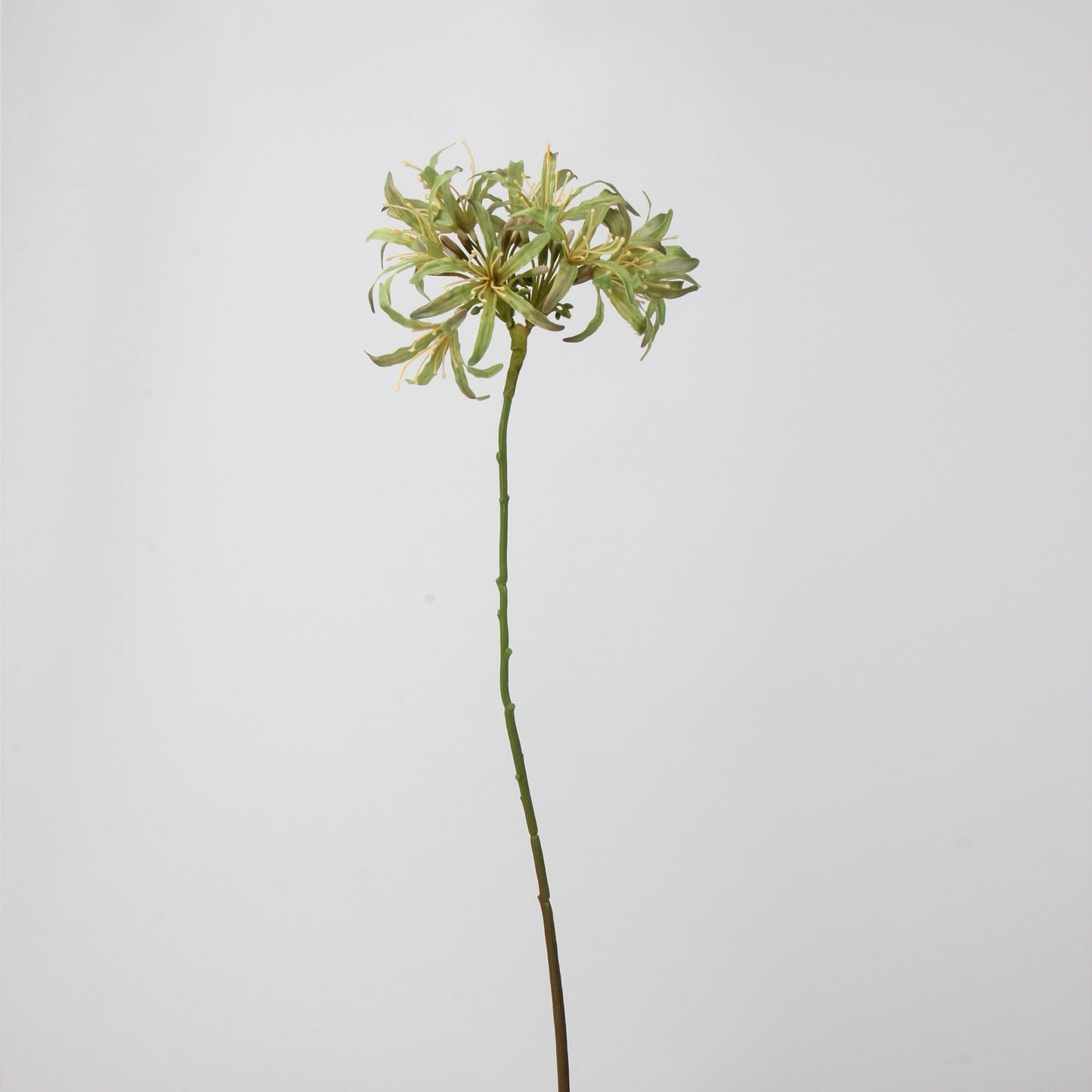 Artificial Agapanthus Stem | Premium Silk Real Touch Flower | 78cm Tall Green