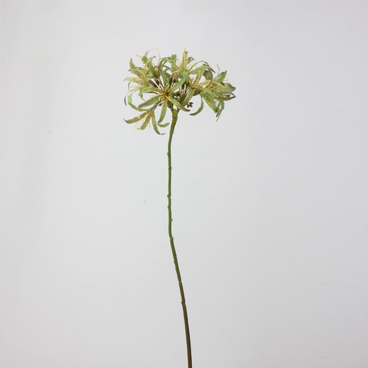 Artificial Agapanthus Stem | Premium Silk Real Touch Flower | 78cm Tall Green