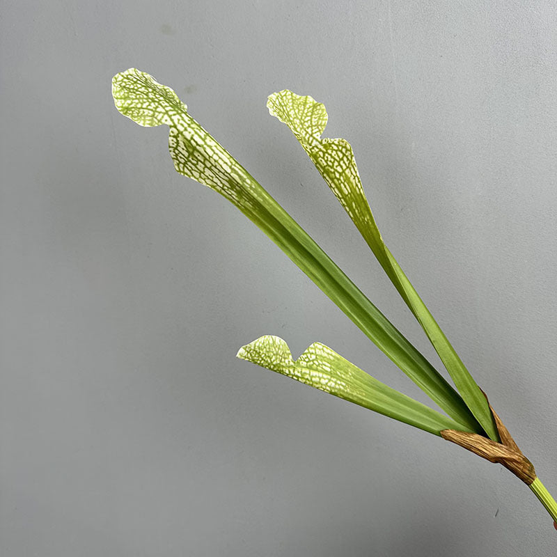 Artificial ivory green pitcher plant stem 3 pitcher faux sarracenia 51cm botanical decor