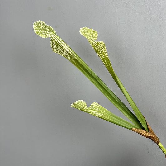 Artificial ivory green pitcher plant stem 3 pitcher faux sarracenia 51cm botanical decor