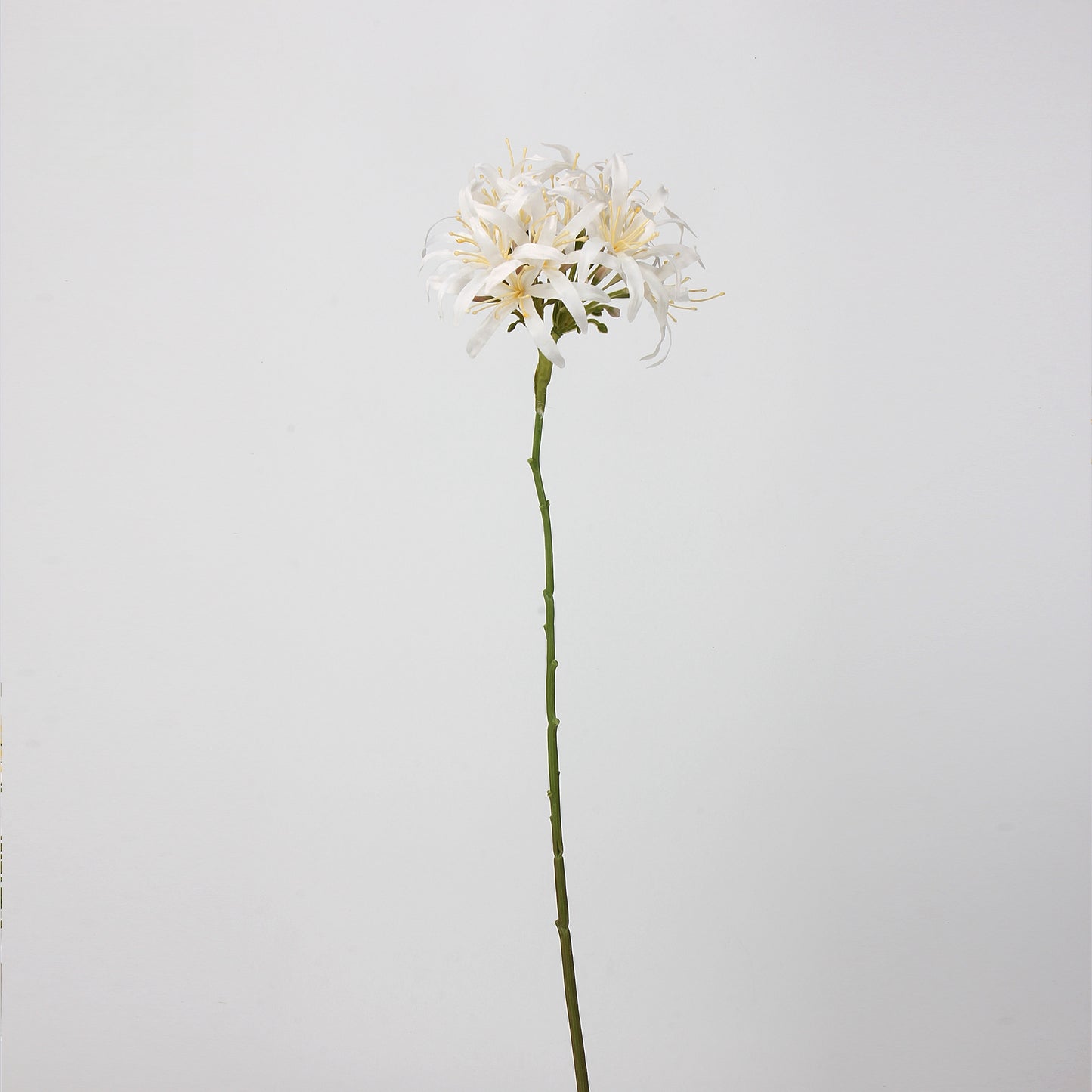 Artificial Agapanthus Stem | Premium Silk Real Touch Flower | 78cm Tall White