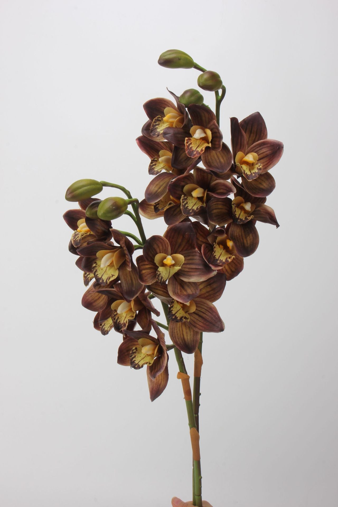 Artificial Cymbidium｜8 Blooms Realistic Soft-Touch Petals Brown 13.1"