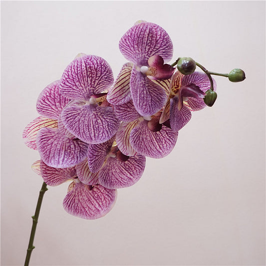 Artificial European-Style Phalaenopsis Orchids | 87cm Realistic 7-Head Hydrating Touch Orchid Stem | Leopard Purple