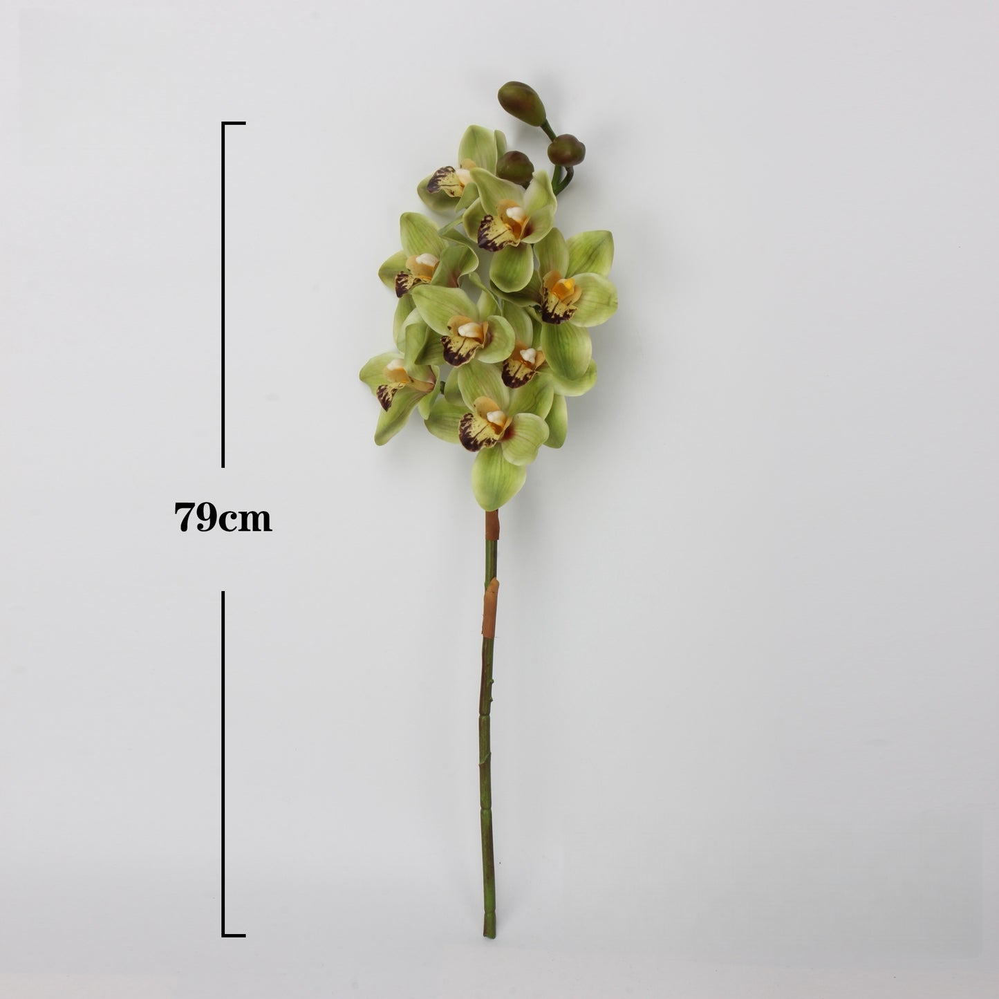 Artificial Cymbidium｜8 Blooms Realistic Soft-Touch Petals Green 13.1"