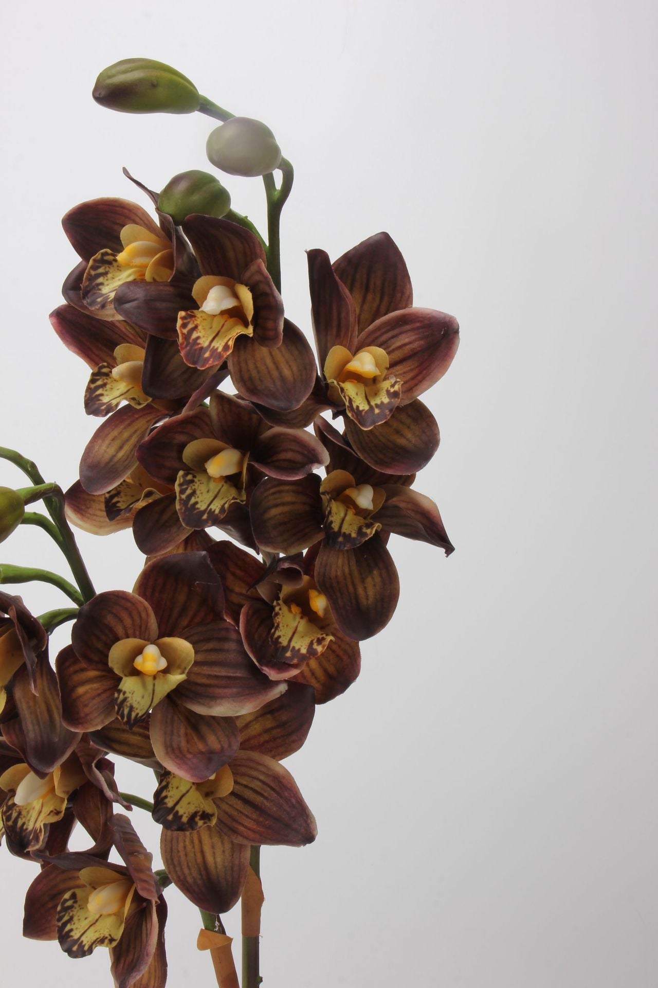 Artificial Cymbidium｜8 Blooms Realistic Soft-Touch Petals Brown 13.1"