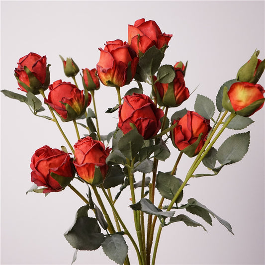 Artificial Angora Roses | Vintage Dry Flower Look | 5-Head 66cm H Red