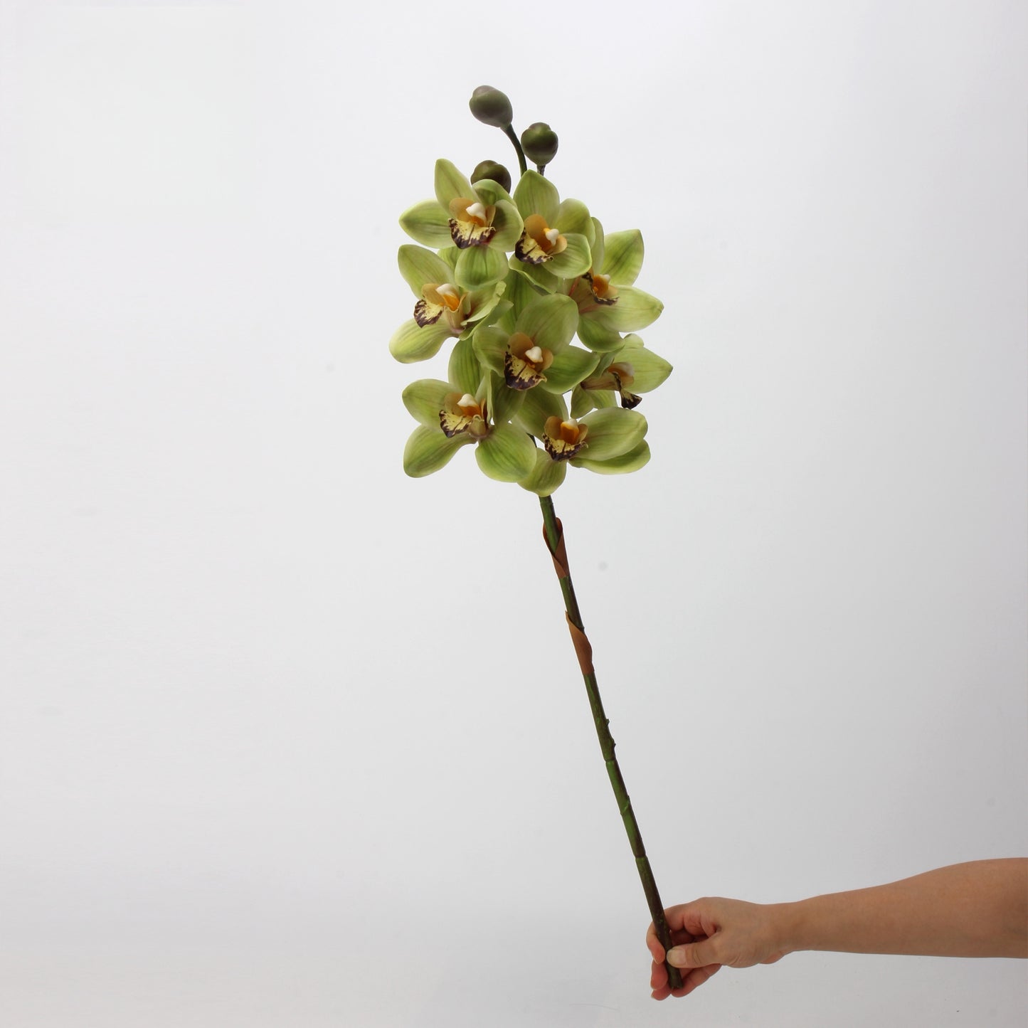 Artificial Cymbidium｜8 Blooms Realistic Soft-Touch Petals Green 13.1"