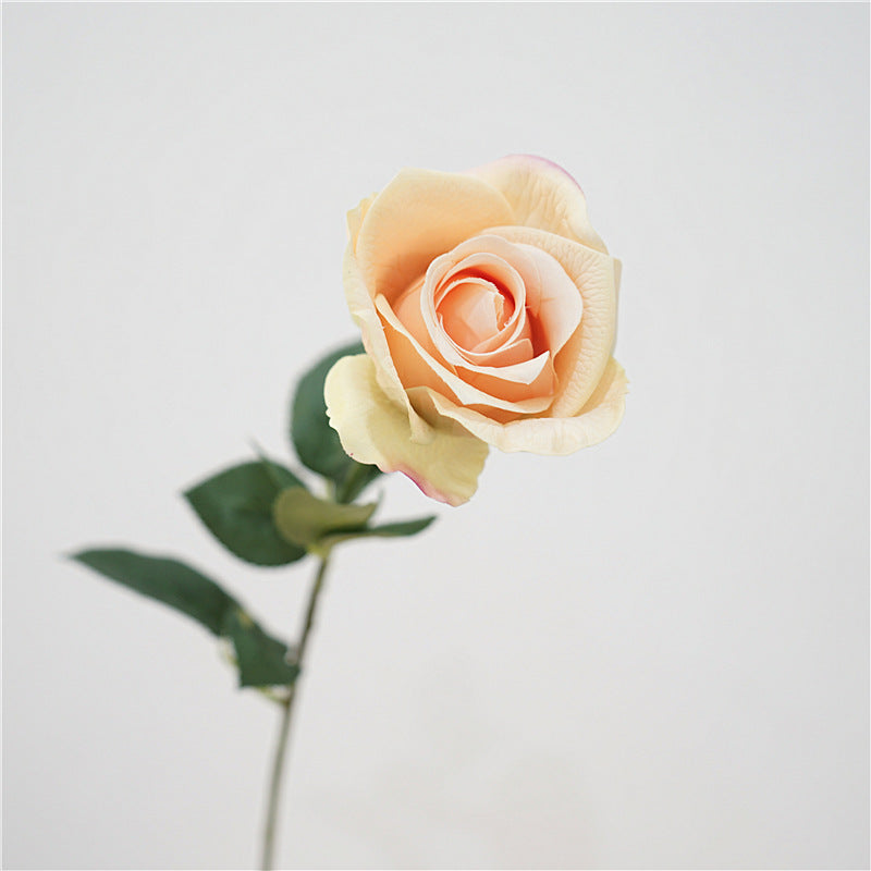 Artificial champagne long stem roses set 5 faux rose stems 66cm romantic home decor