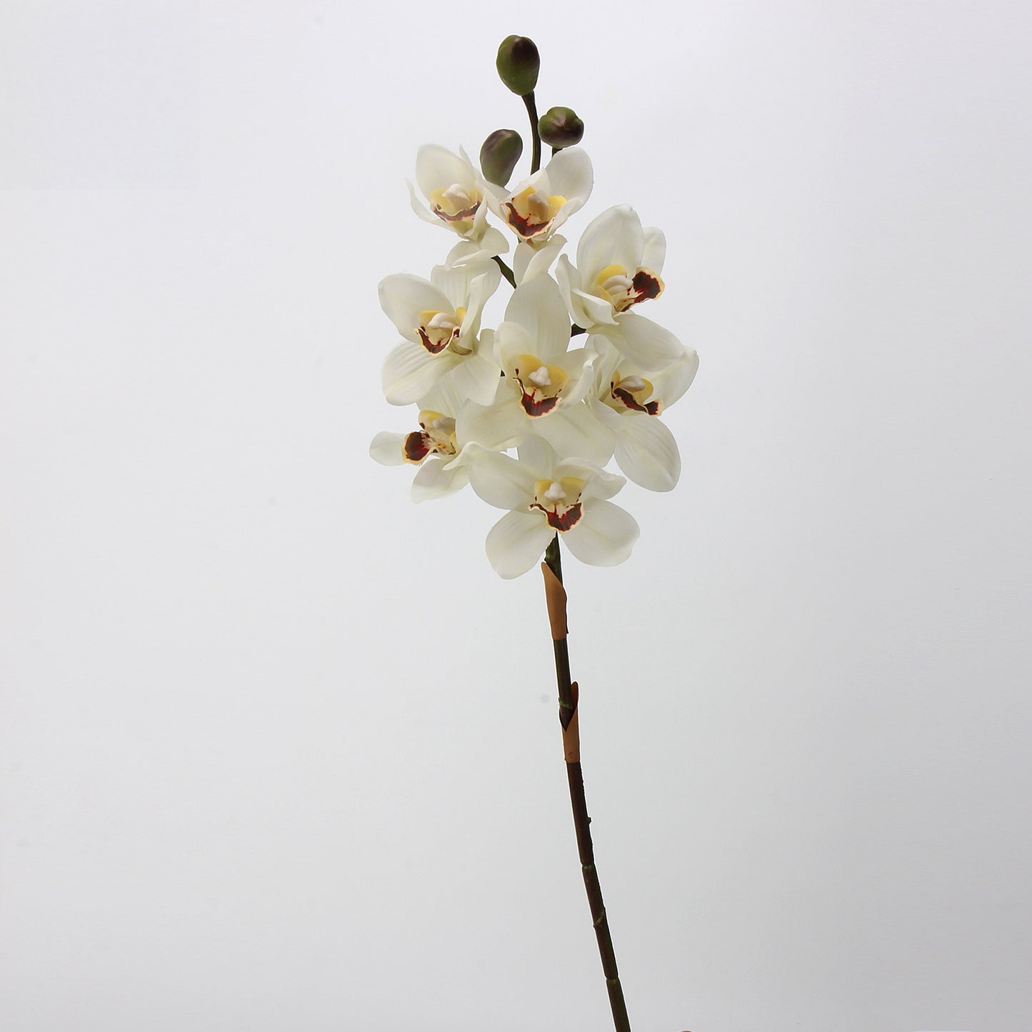 Artificial Cymbidium｜8 Blooms Realistic Soft-Touch Petals White 13.1"