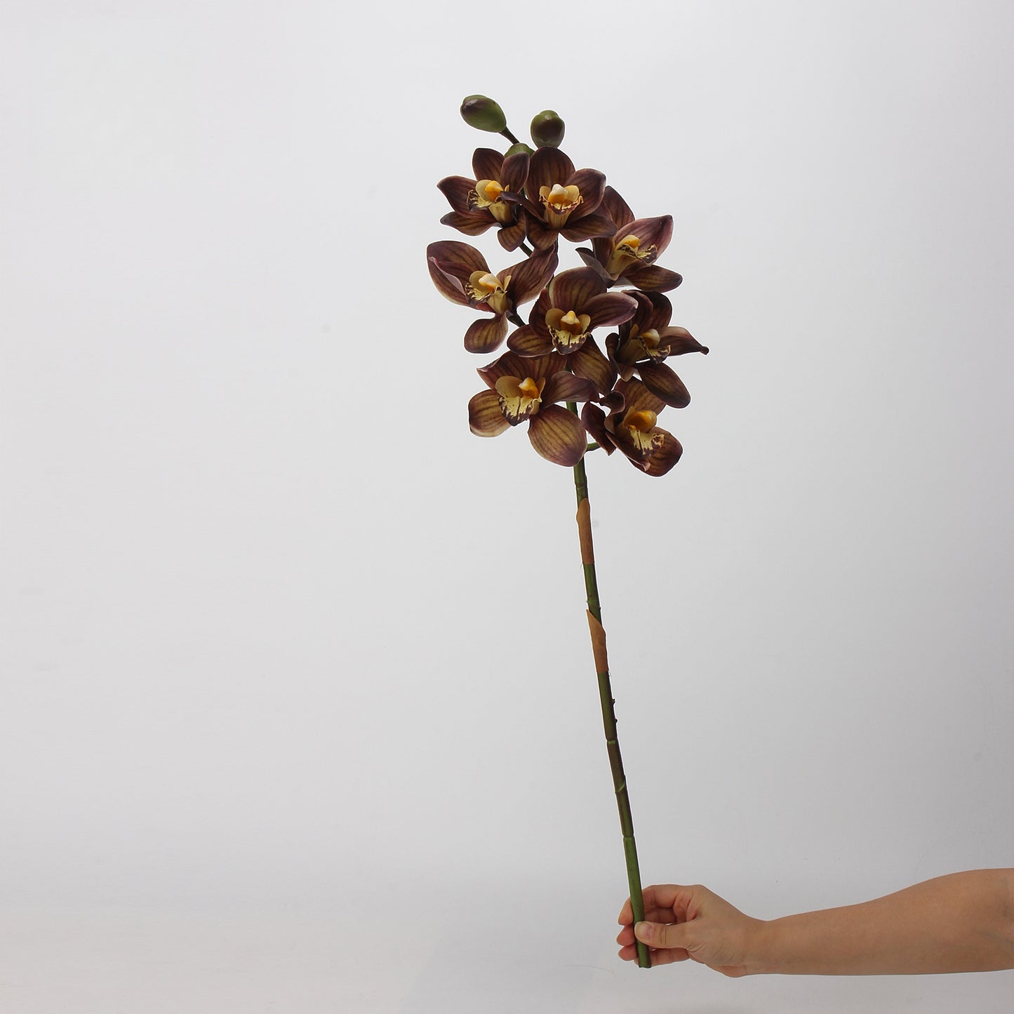 Artificial Cymbidium｜8 Blooms Realistic Soft-Touch Petals Brown 13.1"