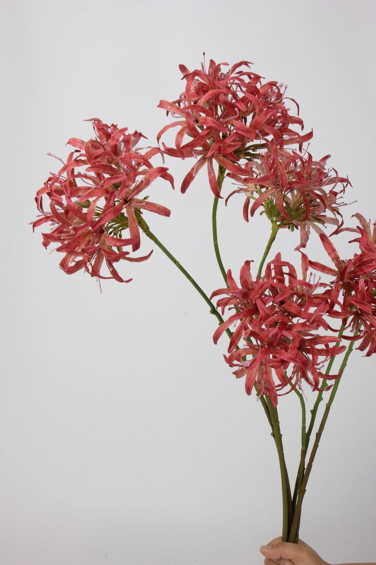 Artificial Agapanthus Stem | Premium Silk Real Touch Flower | 78cm Tall Red