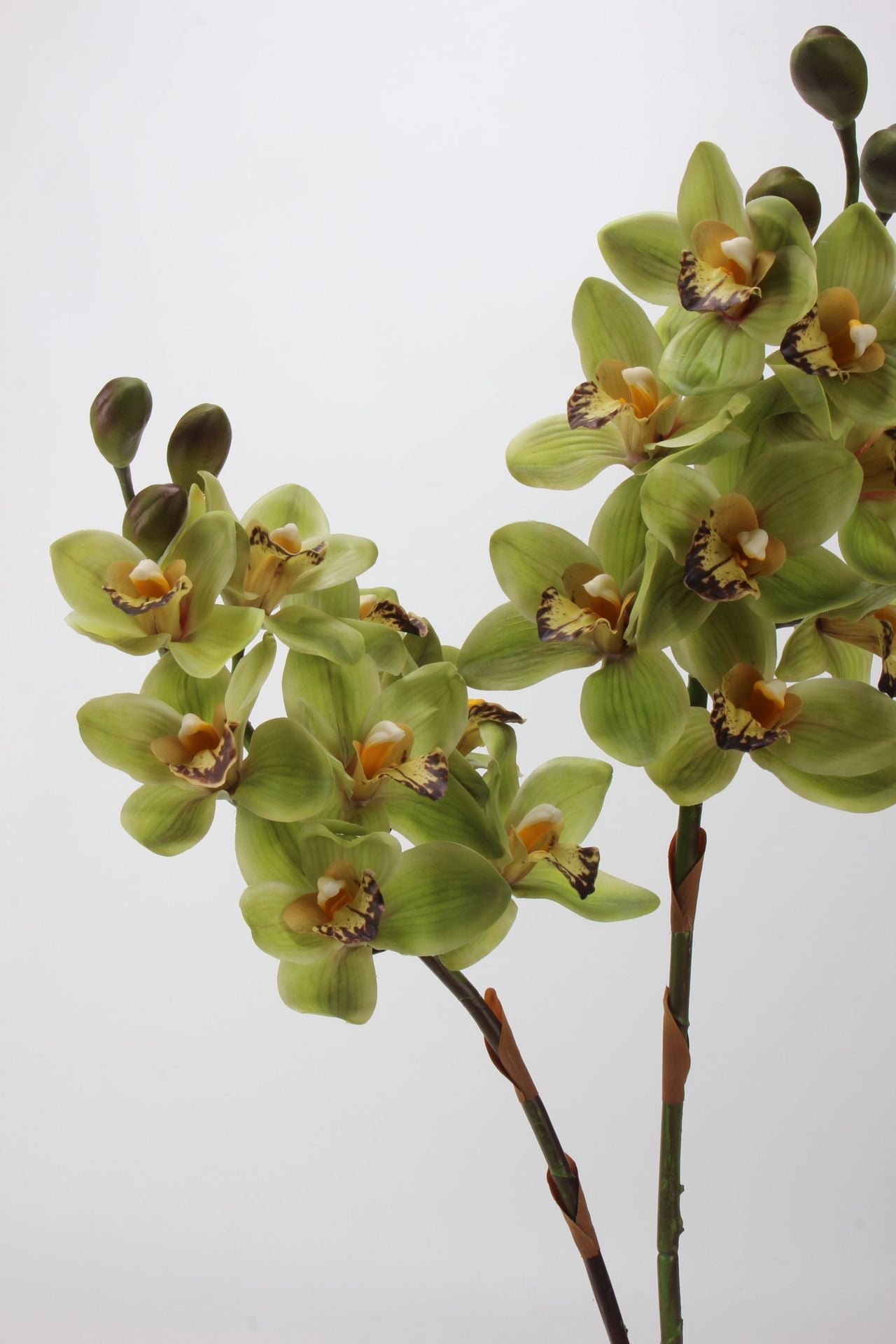 Artificial Cymbidium｜8 Blooms Realistic Soft-Touch Petals Green 13.1"