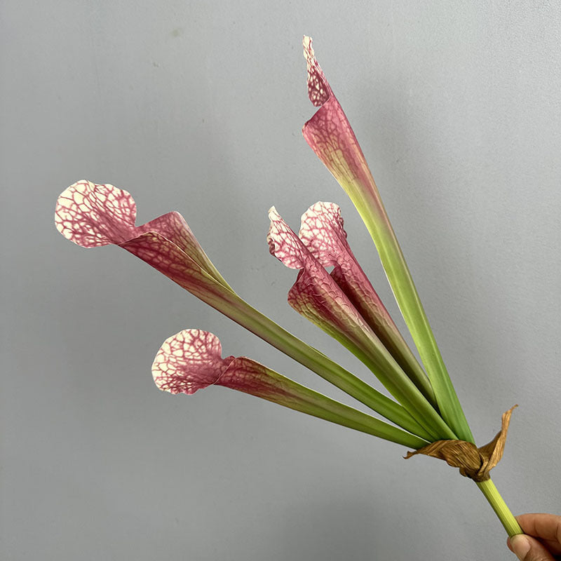Artificial wine red pitcher plant stem 5 pitcher faux sarracenia 44cm moody decor
