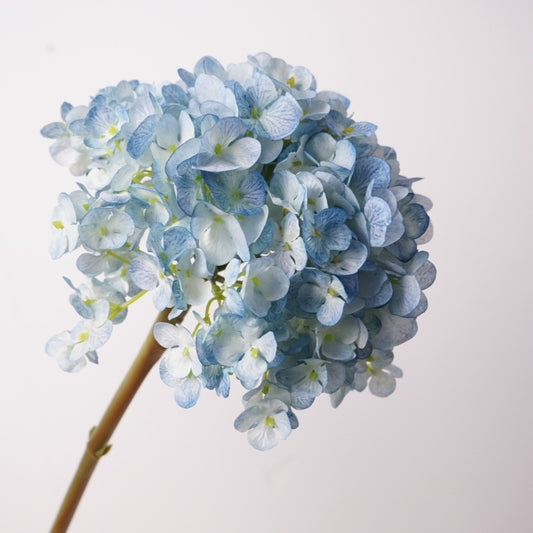 28cm Wide Hydrangea Flower Head | Artificial Silk Stem | Blue 25" H