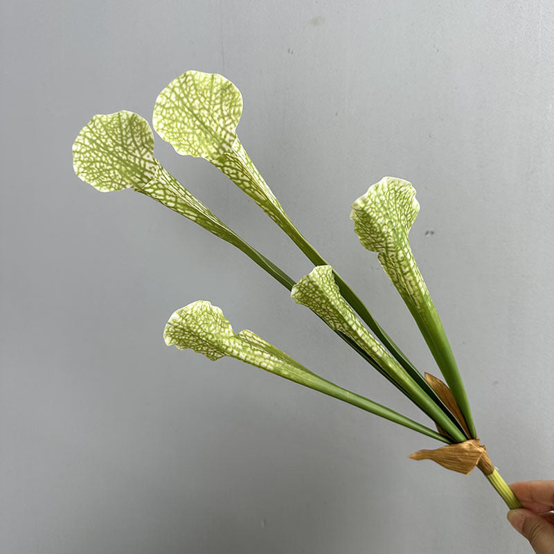 Artificial ivory green pitcher plant stem 5 pitcher faux sarracenia 44cm botanical decor