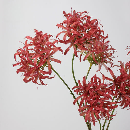 Artificial Agapanthus Stem | Premium Silk Real Touch Flower | 78cm Tall Red