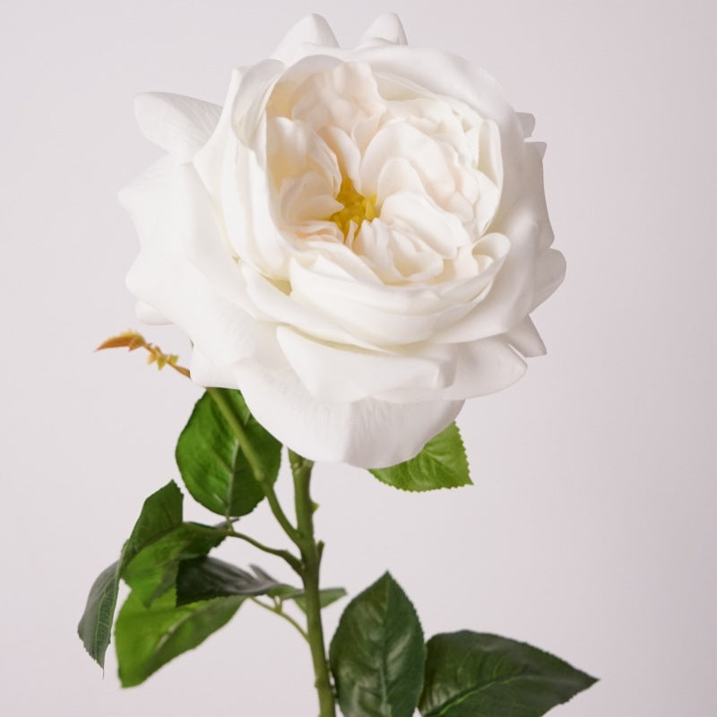 Artificial Juliet Rose | Real-Touch Hydrating Fabric | 69cm H Cream White