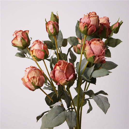 Artificial Angora Roses | Vintage Dry Flower Look | 5-Head 66cm H Dusty Blush