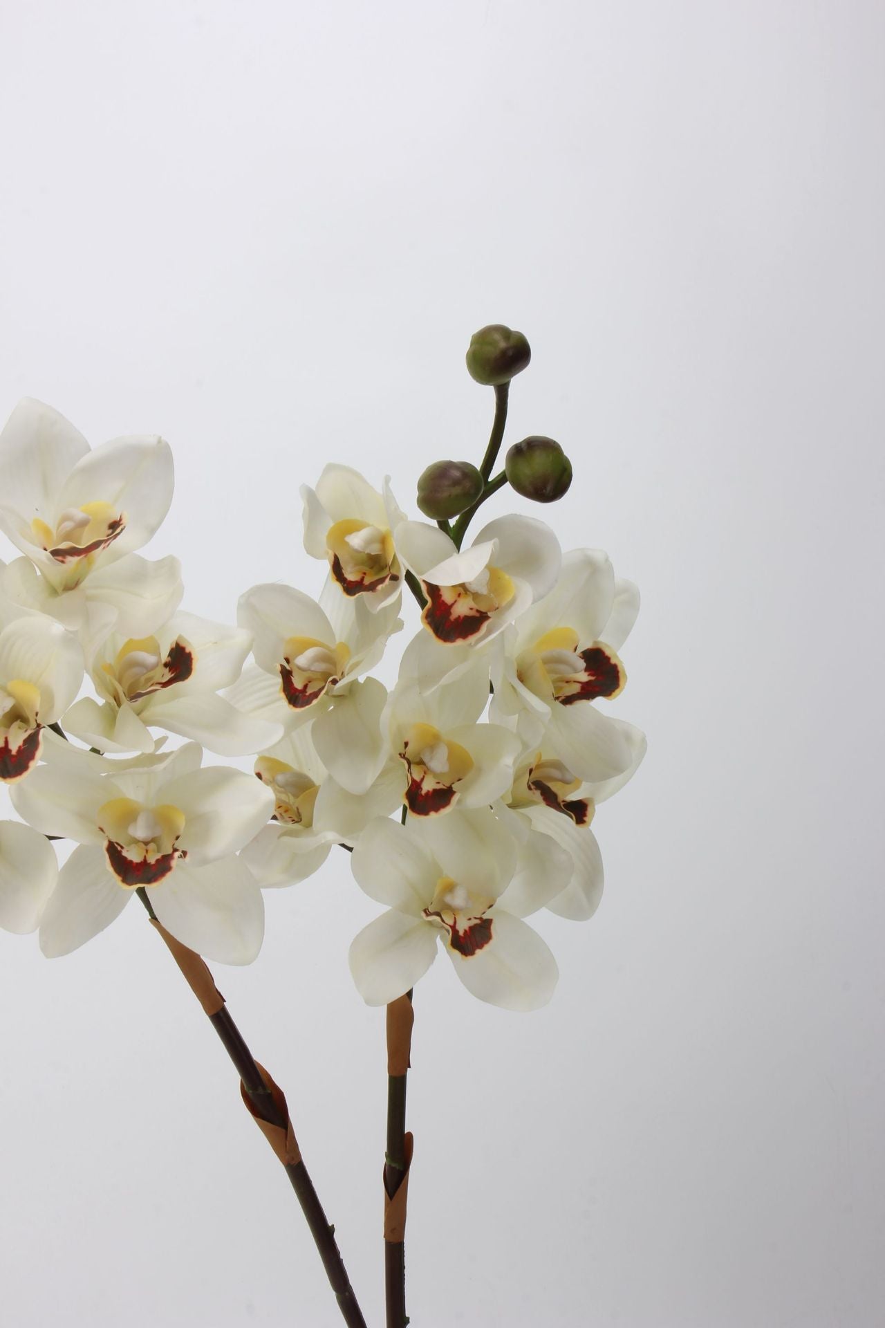Artificial Cymbidium｜8 Blooms Realistic Soft-Touch Petals White 13.1"