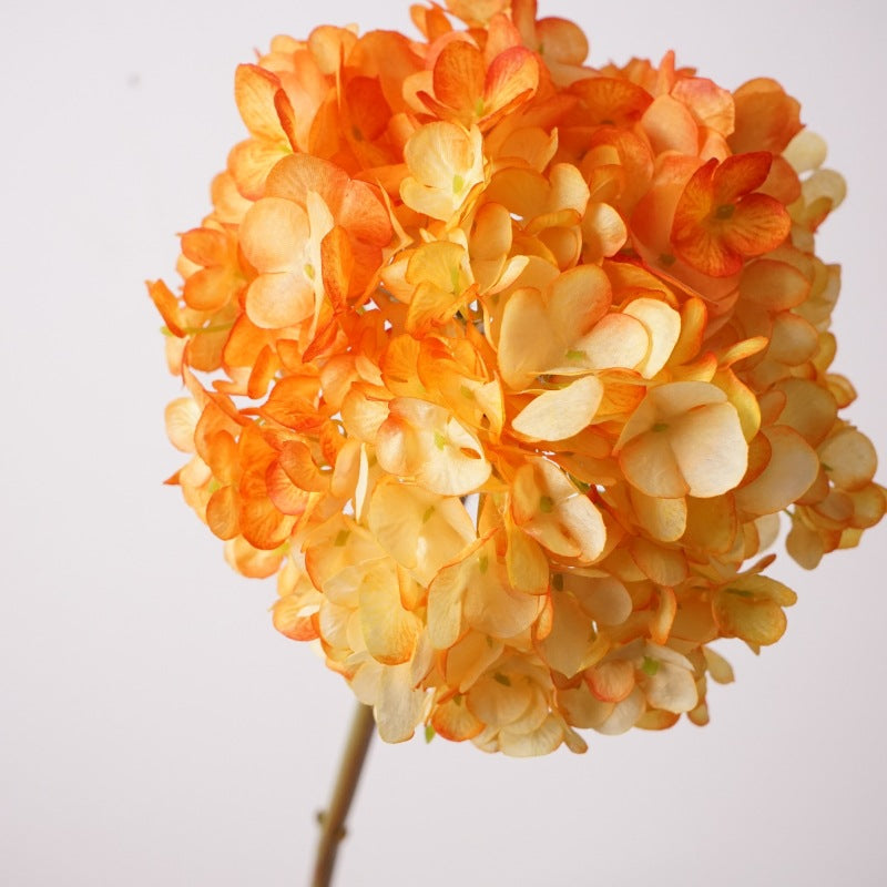 28cm Wide Hydrangea Flower Head | Artificial Silk Stem | Orange 25" H